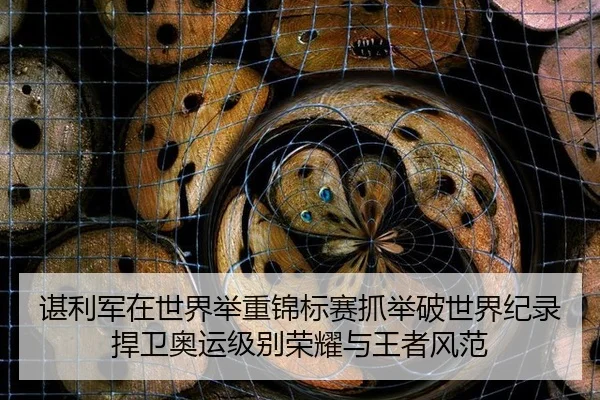 chen-li-jun-zai-shi-jie-ju-zhong-jin-biao-sai-zhua-ju-po-shi-jie-ji-lu-han-wei-ao-yun-ji-bie-rong-yao-yu-wang-zhe-feng-3-586.jpg