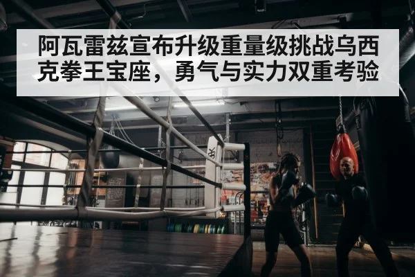 阿瓦雷兹宣布升级重量级挑战乌西克拳王宝座，勇气与实力双重考验