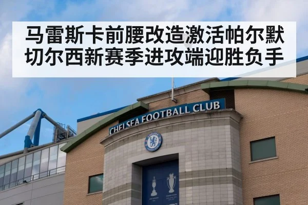 马雷斯卡前腰改造激活帕尔默 切尔西新赛季进攻端迎胜负手